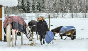 Ridskola och fritidshem