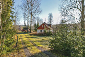Gård med skogsbruk