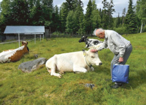 Underbara miljöer höll öppet