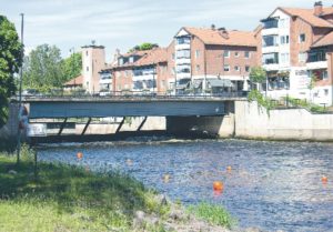 Massdöd av gös i centrala Säffle