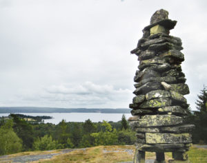 Stengubbe vaktar Blomskog