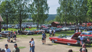 Rekord i årets Springmeet