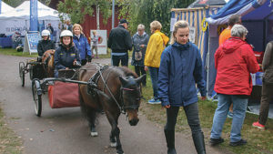 Välbesökta Lillerudsdagar