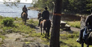 Sommarhäst på Jäverön